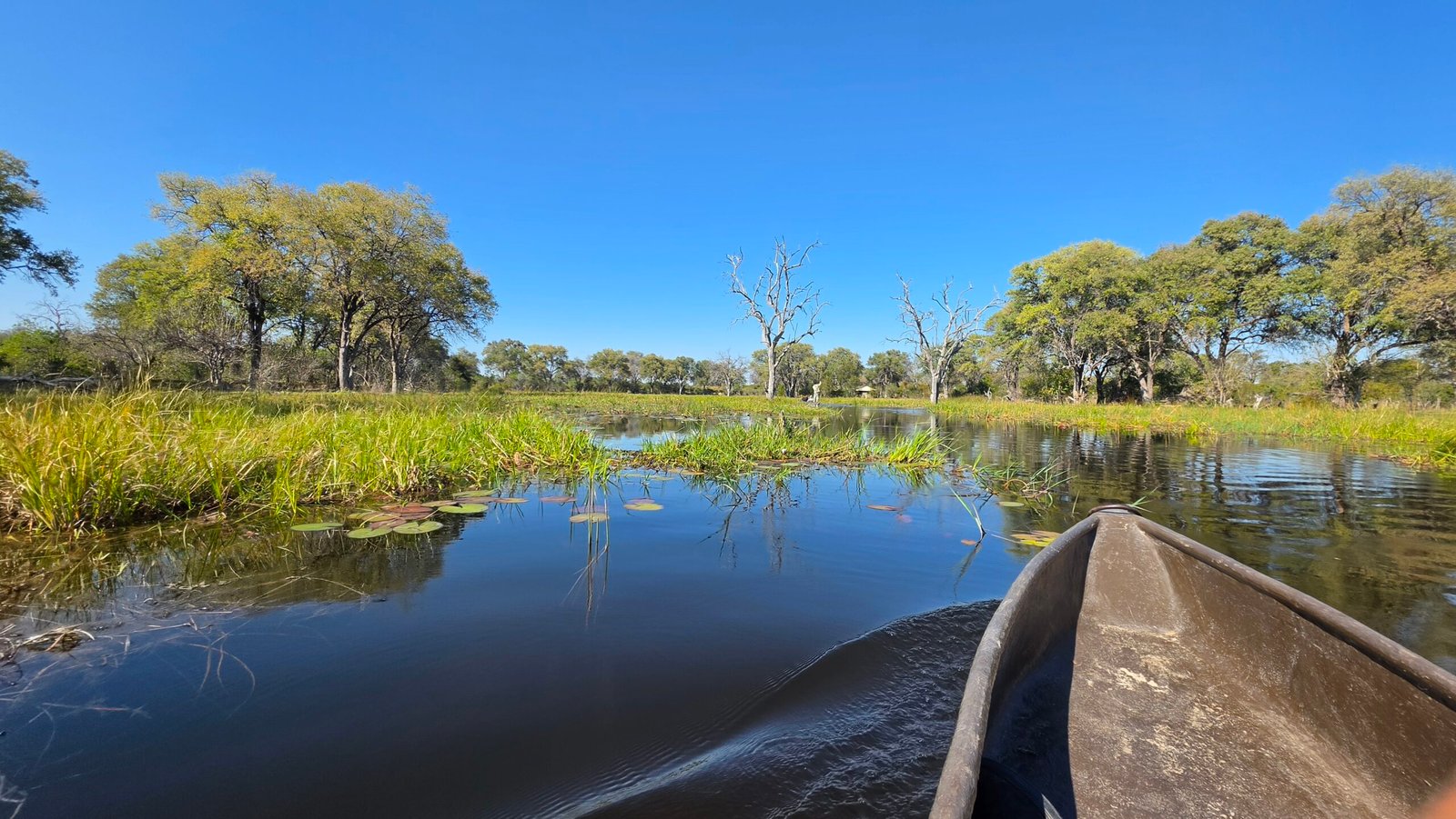 Temporary photograph representing a mokoro excursion
